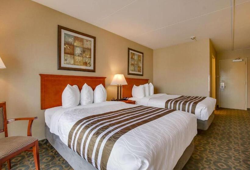 Номер Стандарт 2 Двуспальные Кровати, Best Western Brantford Hotel And Conference Centre