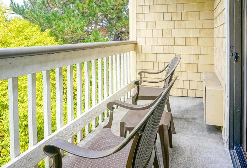 Стандартный Номер Кровать Кинг, Best Western Corte Madera Inn