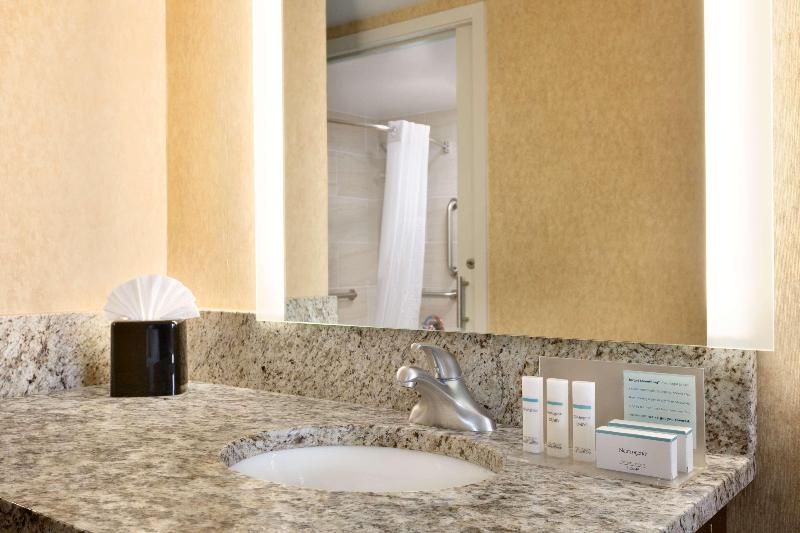 استودیو استاندارد با تخت کینگ, Hampton Inn Washington Dulles Int L Airport South