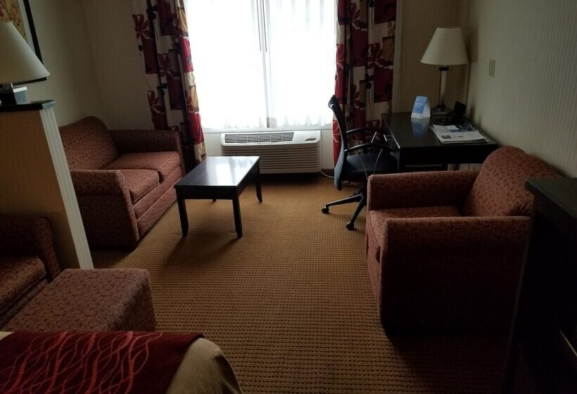 Люкс, Quality Inn & Suites Farmington