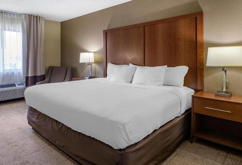 اتاق استاندارد با تخت بزرگ, Comfort Inn Moline  Quad Cities