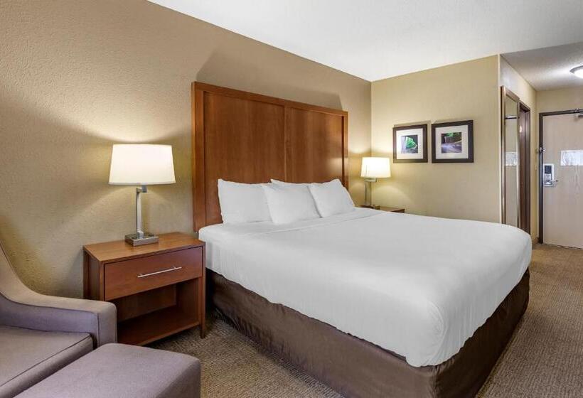 اتاق استاندارد با تخت بزرگ, Comfort Inn Moline  Quad Cities