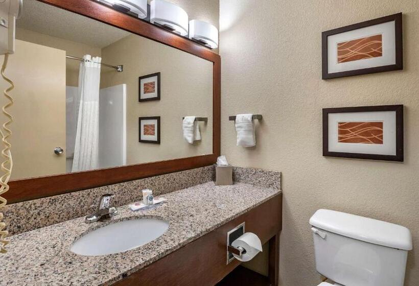 اتاق استاندارد با تخت بزرگ, Comfort Inn Moline  Quad Cities