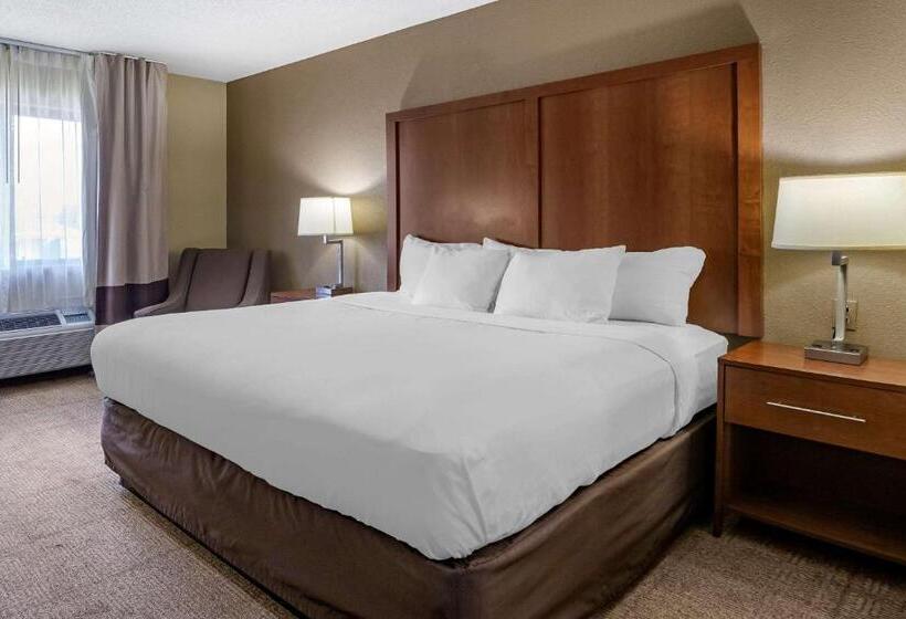 اتاق استاندارد با تخت بزرگ, Comfort Inn Moline  Quad Cities