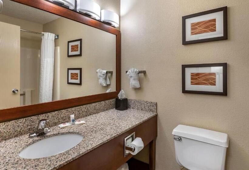 اتاق استاندارد, Comfort Inn Moline  Quad Cities