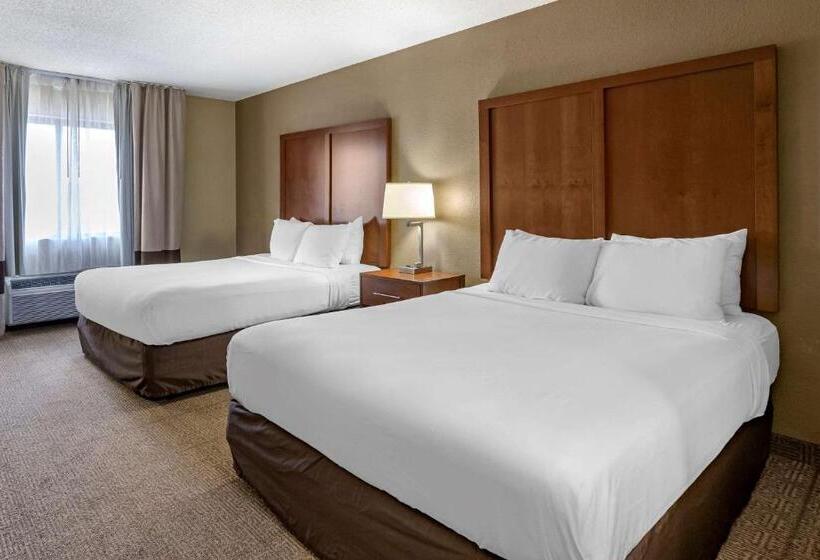 اتاق استاندارد, Comfort Inn Moline  Quad Cities