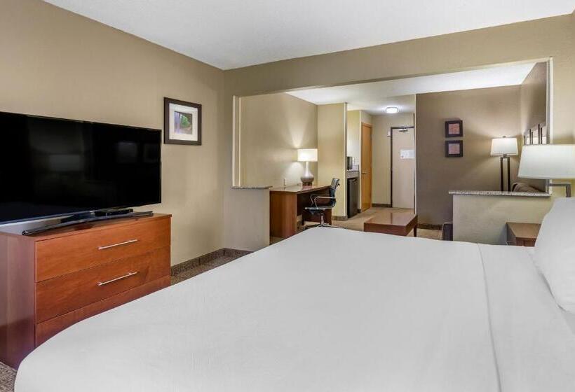 سوئیت با تخت بزرگ, Comfort Inn Moline  Quad Cities