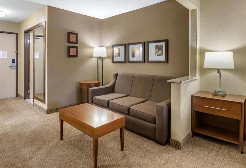 سوئیت با تخت بزرگ, Comfort Inn Moline  Quad Cities