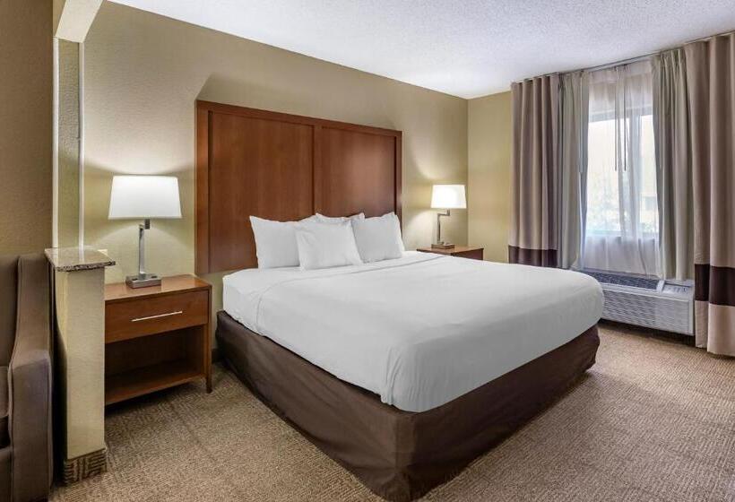 سوئیت با تخت بزرگ, Comfort Inn Moline  Quad Cities