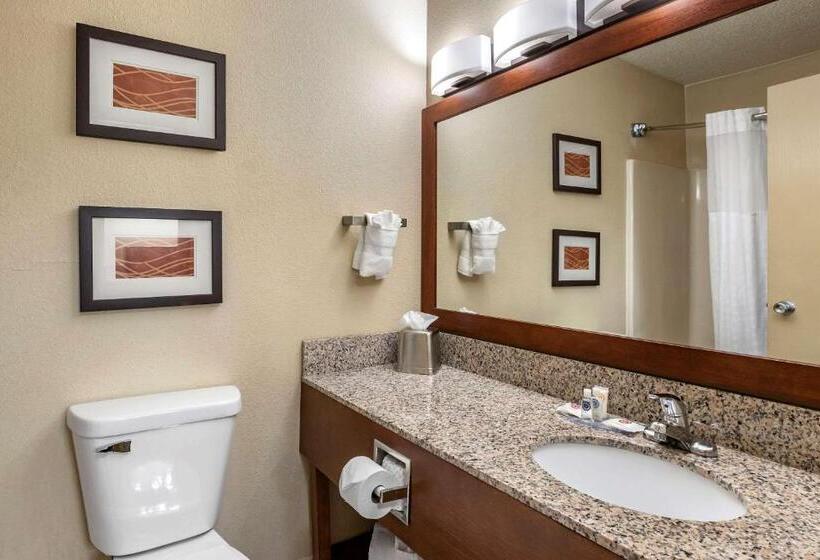 سوئیت با تخت بزرگ, Comfort Inn Moline  Quad Cities