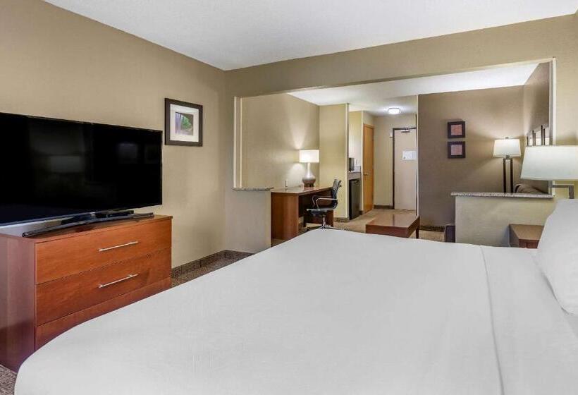 سوئیت با تخت بزرگ, Comfort Inn Moline  Quad Cities