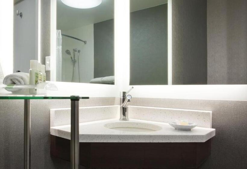 Номер Стандарт Адаптированный для Инвалидов, Holiday Inn Weirtonsteubenville Area