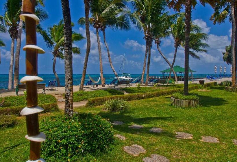 اتاق سوپریور, Coco De Mer Hotel And Black Parrot Suites