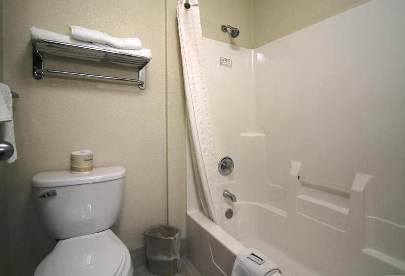 스탠다드 룸 킹사이즈 침대, Geneva Motel Inn