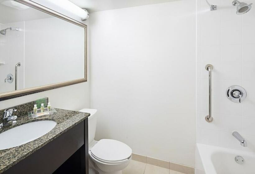 اتاق استاندارد, Holiday Inn & Suites Across From Universal Orlando, An Ihg