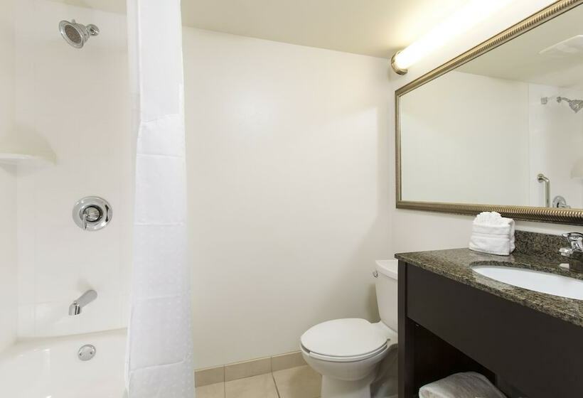 سوئیت برای معلولان, Holiday Inn & Suites Across From Universal Orlando, An Ihg