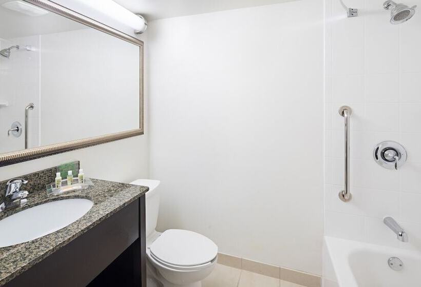 اتاق استاندارد, Holiday Inn & Suites Across From Universal Orlando, An Ihg