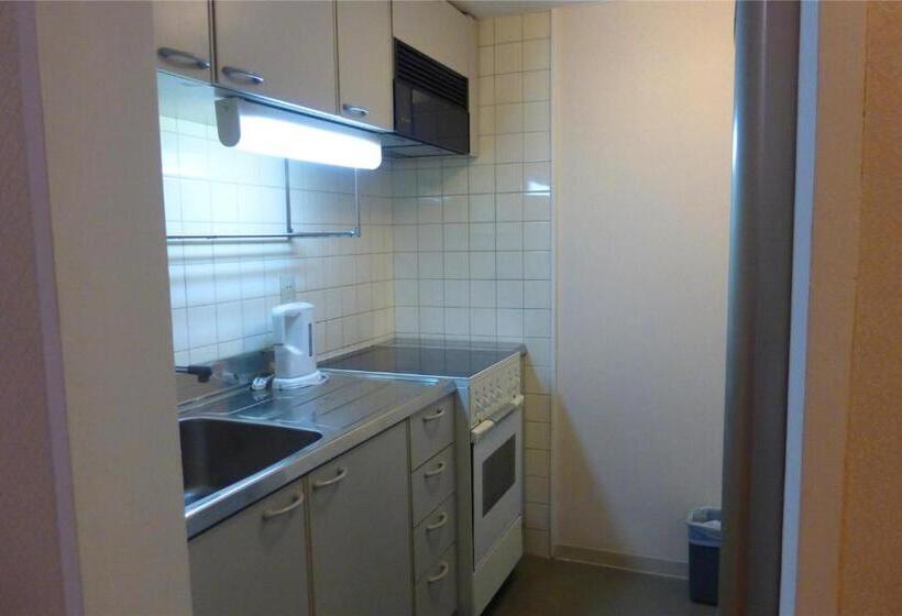 آپارتمان 1 خوابه, Ruishi Hotel Dalian