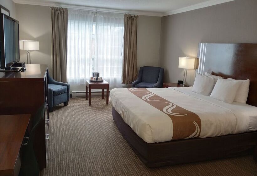 スーペリアールーム, Quality Inn Downtown Inner Harbour