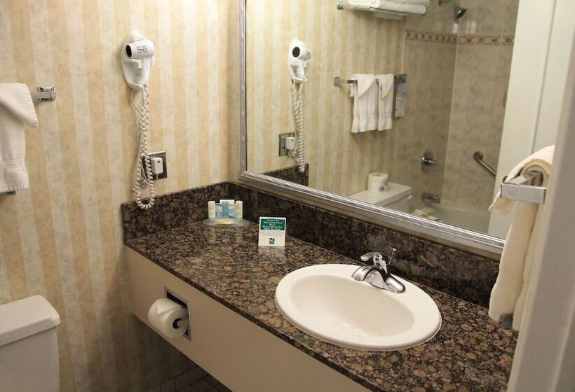 Quarto Superior, Quality Inn Downtown Inner Harbour