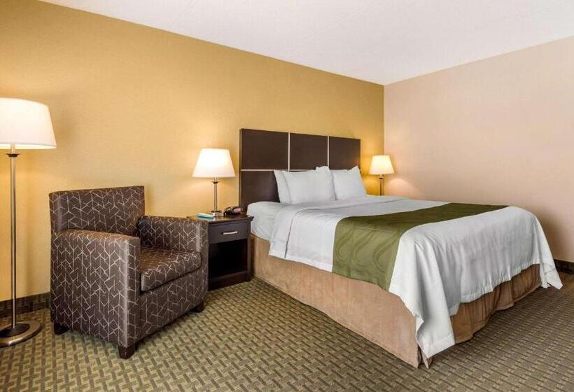 带大床的标准间, Quality Inn & Suites