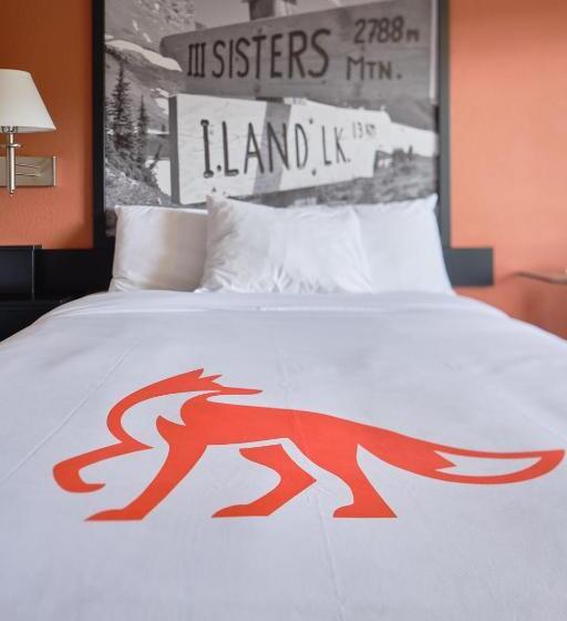 Quarto Estandar, Fernie Fox