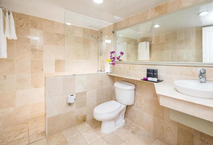 اتاق استاندارد, Bluebay Villas Doradas - Adults Only - All Inclusive