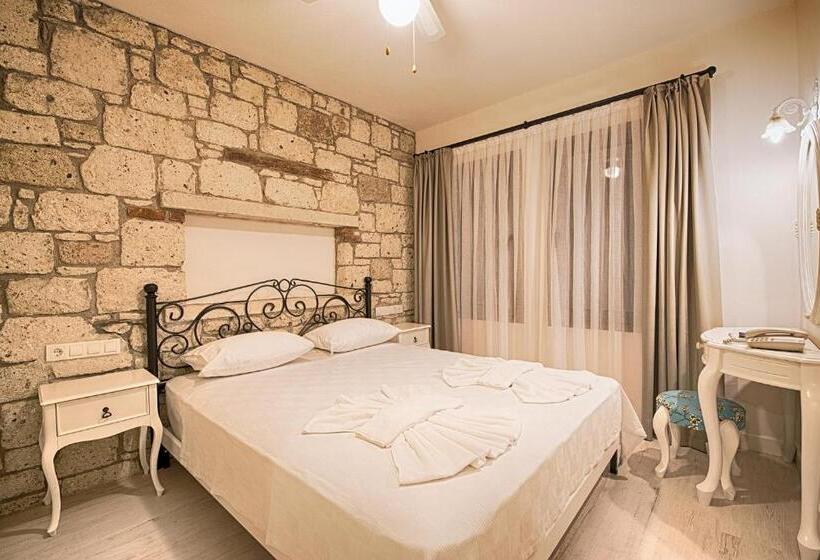 اتاق استاندارد با چشم‌انداز باغ, Bademli Konak Otel