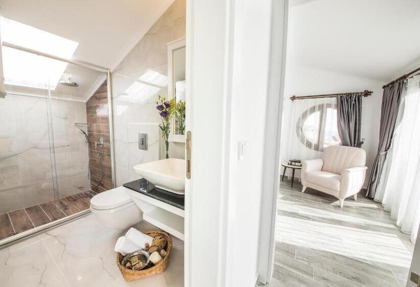 آپارتمان 1 خوابه با تراس, Cedrus Suites