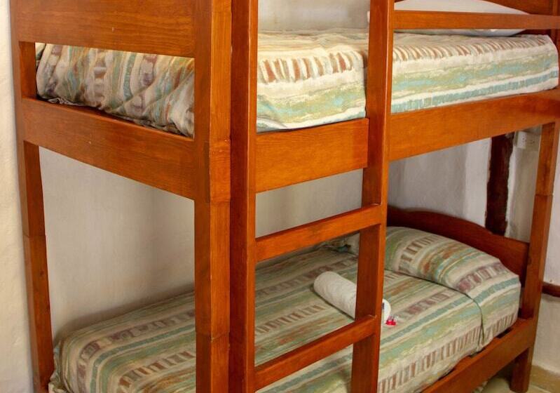 חדר משפחתי, Golden Paradise Hostel