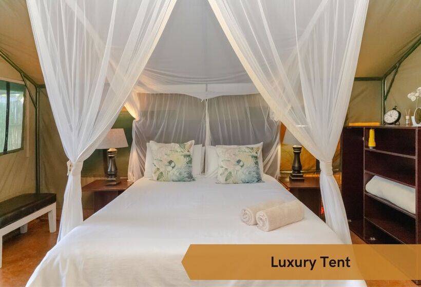 چادر با خدمات رفاهی لوکس, Crocodile Bridge Safari Lodge