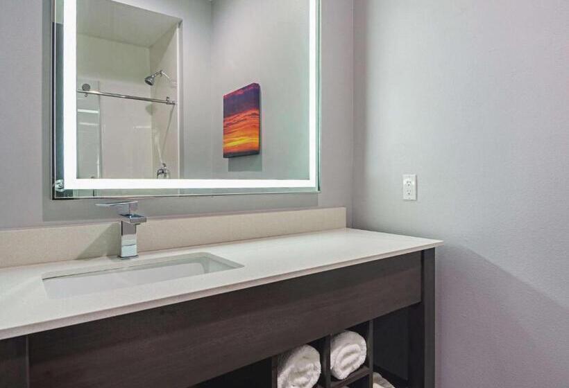Номер Executive Кровать Кинг, La Quinta By Wyndham Dallas   Wylie