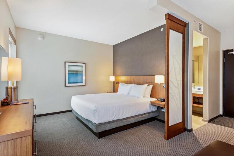 חדר סטנדרט עם מיטת קינג, Hyatt Place Tampa/wesley Chapel