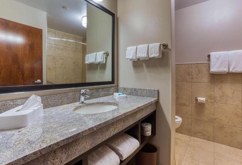 Номер Deluxe, Drury Inn & Suites Cincinnati Northeast Mason