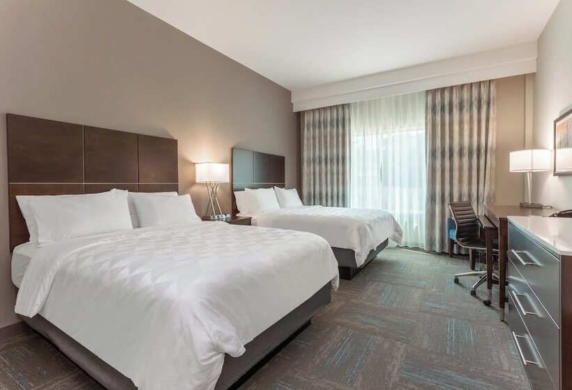 标准间, Holiday Inn & Suites   Jefferson City, An Ihg