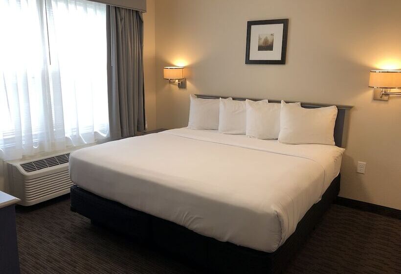 سوئیت با تخت بزرگ, Independence Stay Hotel & Suites