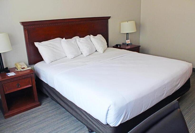 استودیوی استاندارد, Independence Stay Hotel & Suites