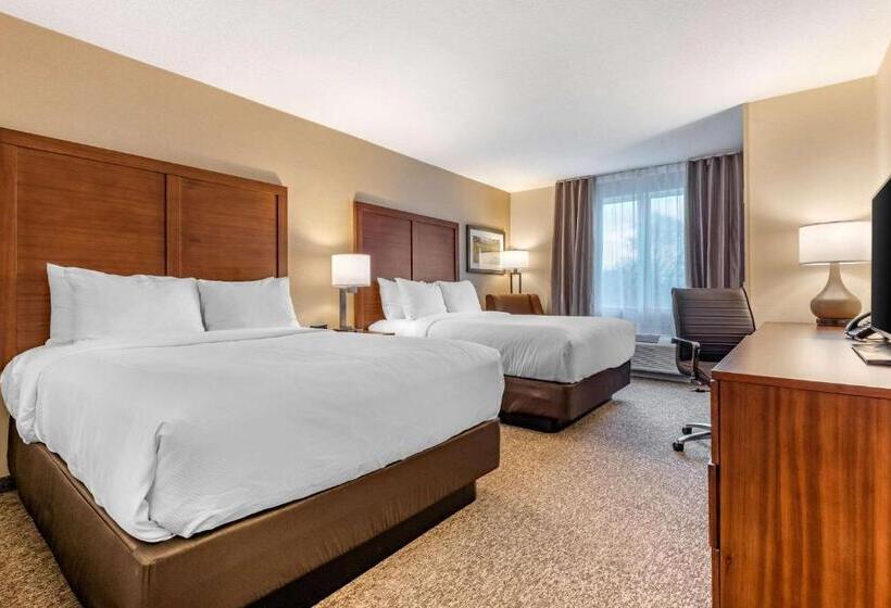 Номер Стандарт, Comfort Inn & Suites