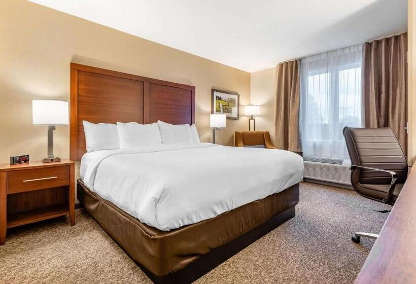 Стандартный Номер Кровать Кинг, Comfort Inn & Suites
