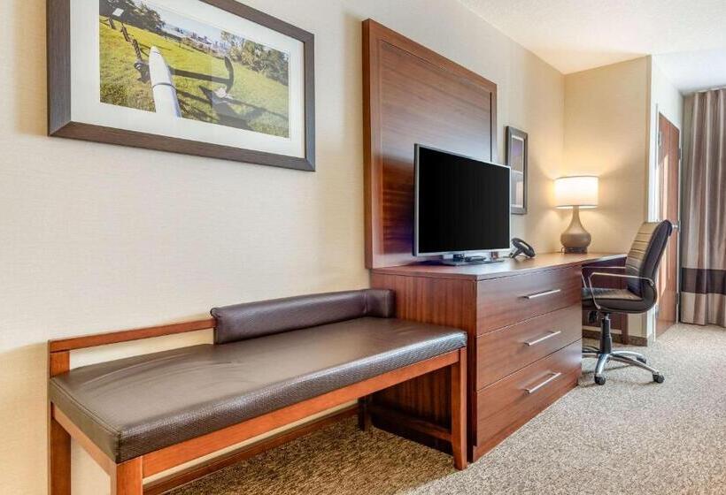 Люкс Кровать Кинг, Comfort Inn & Suites