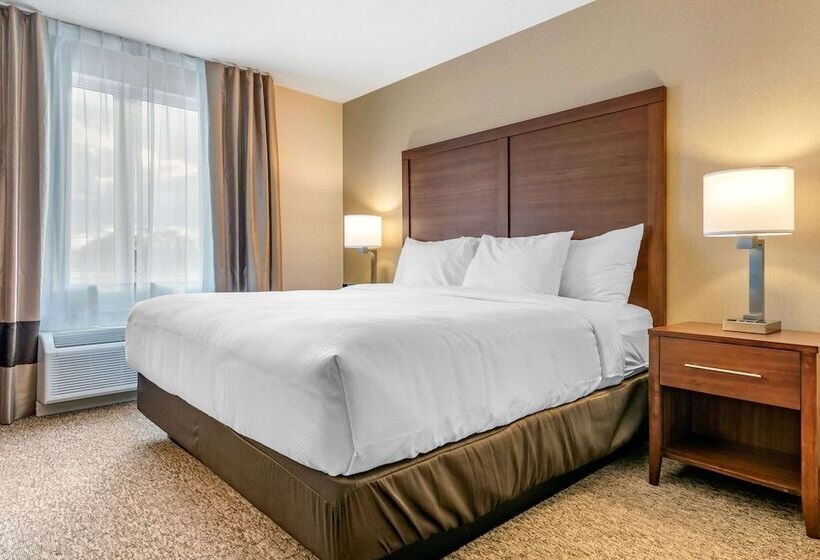 Люкс, Comfort Inn & Suites