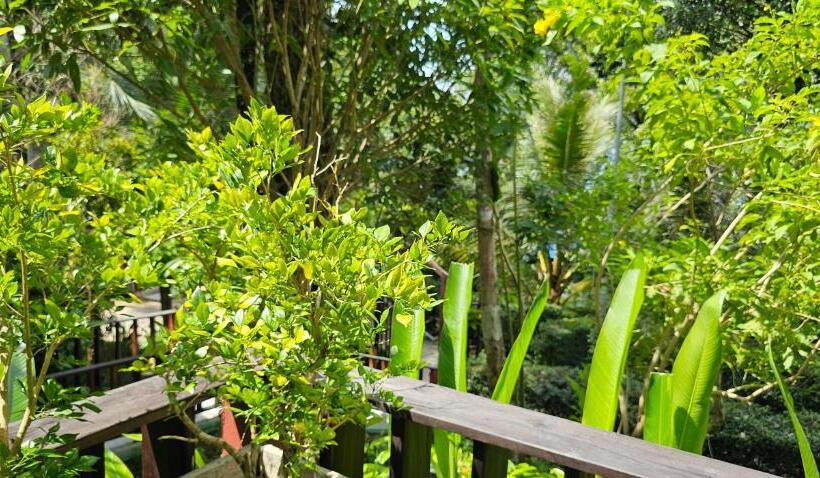 بانگلوی لوکس, Pearl Beach Resort & Spa