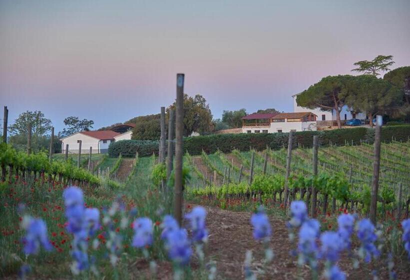 Студио Стандарт Вид на Сад, Agriturismo Tesorino