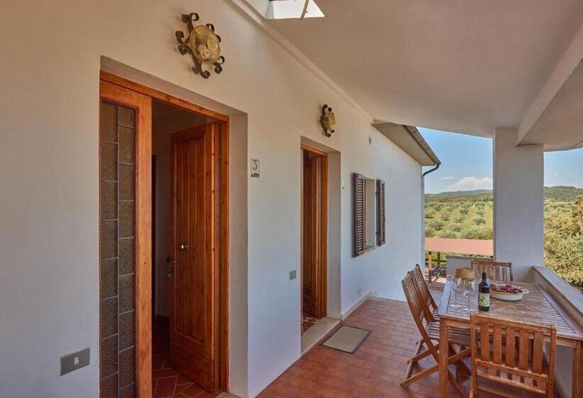 Апартаменты 1 Спальня с Террасой, Agriturismo Tesorino