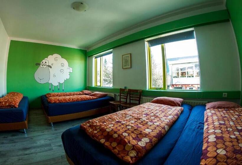 اتاق خانوادگی, Selfoss Hostel