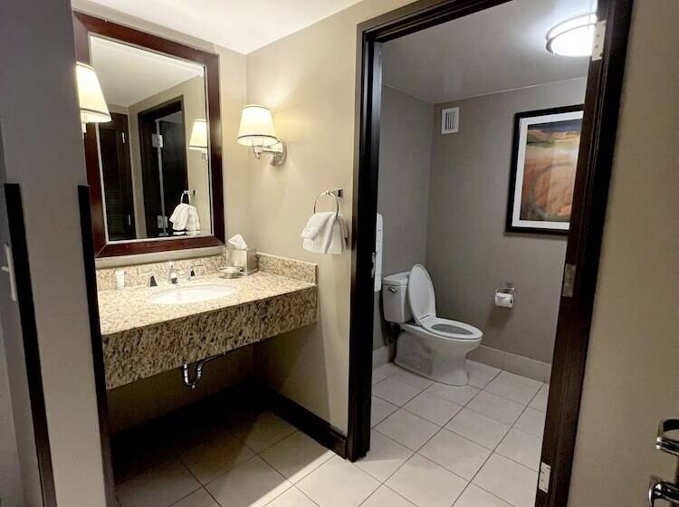 اتاق لوکس, Ameristar Casino Hotel Vicksburg, Ms