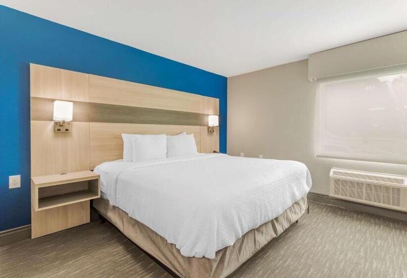 キングサイズベッドのスタンダードルーム, Best Western Plus Magnolia Inn & Suites