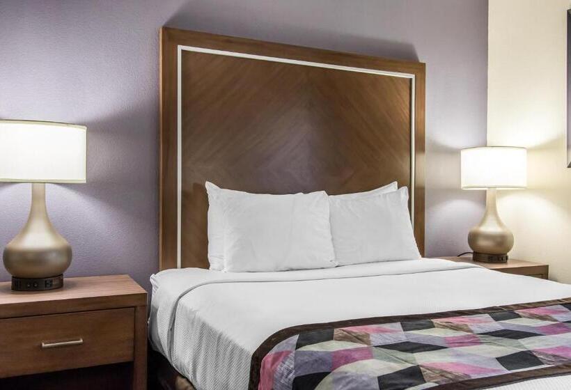اتاق استاندارد با تخت بزرگ, Comfort Inn Midtown