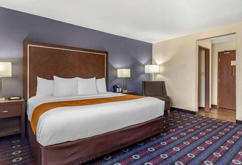 اتاق استاندارد با تخت بزرگ, Comfort Inn Midtown
