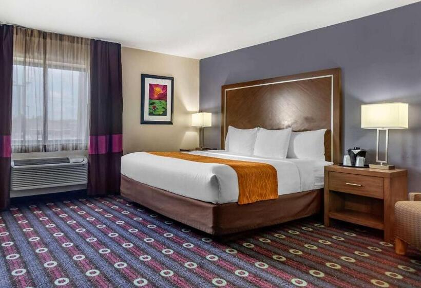 اتاق استاندارد با تخت بزرگ, Comfort Inn Midtown